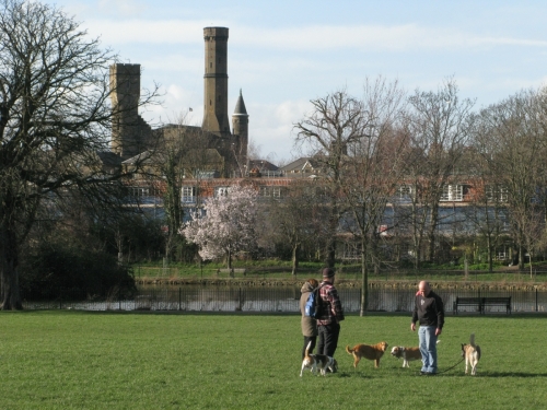 Pic: Jan Weuterisse: Dog walkers enjoy Clissold Park ahead of the anniversary celebrations